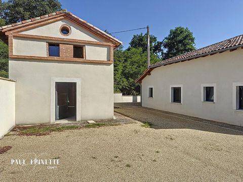 photo no. 16