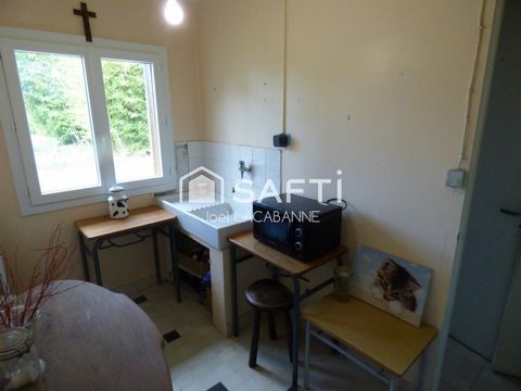 photo no. 16