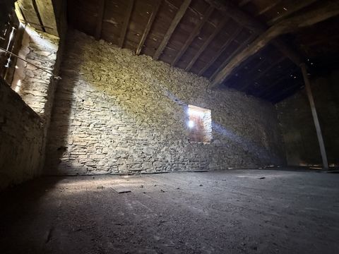 photo no. 15