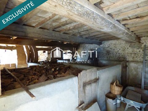 photo no. 16