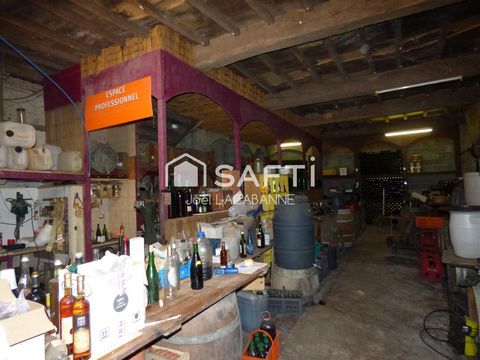 photo no. 14