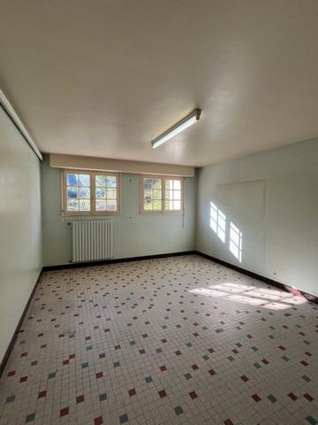 photo no. 8