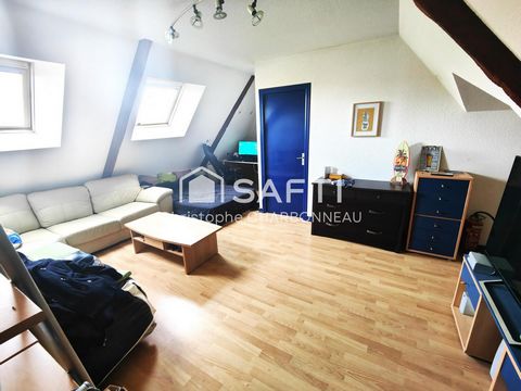 photo no. 13