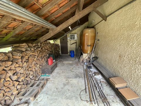 photo no. 16
