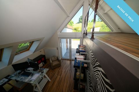photo no. 17