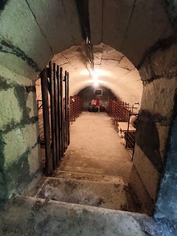 photo no. 18