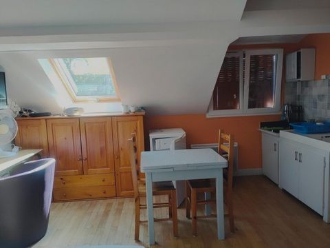 photo no. 9