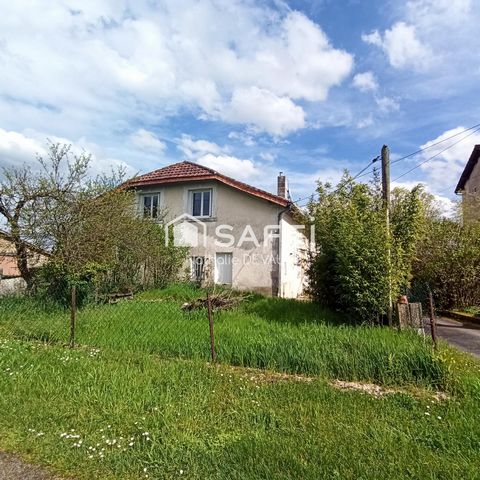 photo no. 6