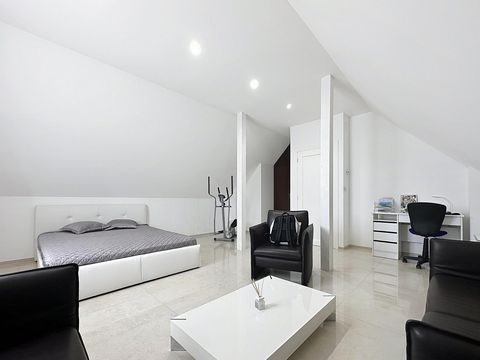photo no. 12