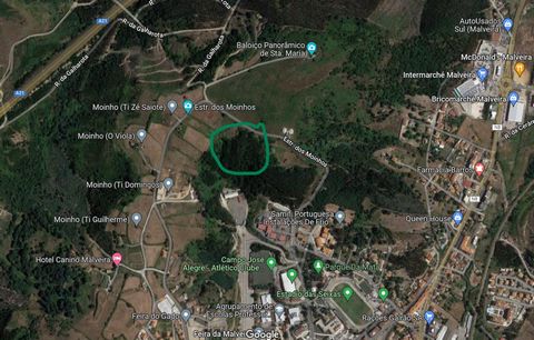 Excellent land of Arvense Culture, Forest Spaces with a total area of 6.875m2. At this time used for eucalyptus production. Located in Alto do Moinhos in Malveira, surrounded by natural, solar and easy access. Ideal for those connected to the paper a...