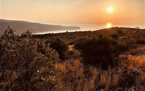 Areopolis, Laconia, Dyros. Te koop een perceel grond van 7.853 sq.m., met een panoramisch uitzicht op de Golf van Dyros, over de beroemde grot, met 60 olijfbomen, amfitheater, bebouwbaar, op een afstand van 950m van de zee, 1, 5 km van het historisch...