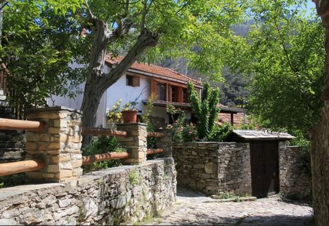 Une maison de trois étages à vendre sur l’île de Thassos dans la région de Megalos Prinos. La maison a une superficie de 176 m².m., située sur un terrain de 90 m².m. La maison dispose d’un salon, de deux salles de bains, de deux cuisines et de trois ...