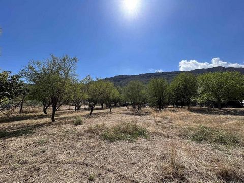Land for sale in Sernikaki village,  Phocis.  It is located at the entrance of the village, in a quiet, airy, sunny place, 400 m from the village center.The land is 1882 sq.m., has a frontage on a community road, within a city plan. The plot is suita...