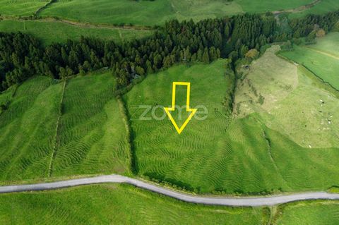 Identificação do imóvel: ZMPT554627 Rustic land with 40.140m2 for pasture and with a forest of cryptomeria The accesses are good and the land is located near the Cumeeiras belvedere with a panoramic view over Sete Cidades. The parish of Ajuda da Bret...