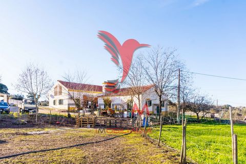 This is your chance to have your dream farm in alto Alentejo. Castelo de Vide, one of the most beautiful regions of alentejo, close to Spain with all the access and amenities you need to live in the tranquility of the countryside with your family. Th...