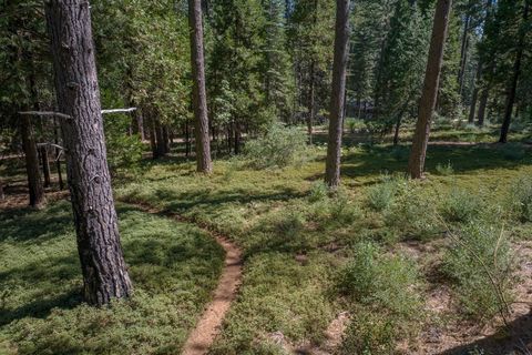Beautifully situated 1.31 acre parcel zoned C-1 bordering National Forest. Great location on Oak Circle in Cedar Center at end of cul-de-sac with quick access to the Arnold Rim Trail. Ready for building your dream project now, or just buy and hold fo...