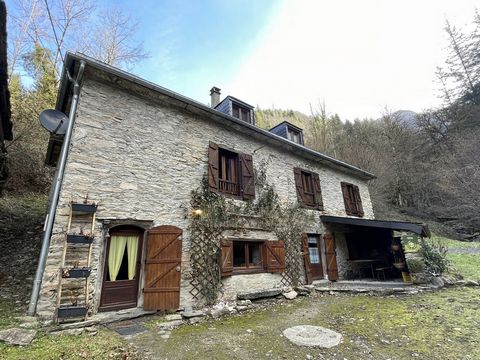 In a quiet hamlet and not far from the ski resort of Guzet and hiking trails, come and discover this charming stone house, completely renovated in 2016. The character of the exposed stone will make you capsize, as well as its many qualities. The entr...