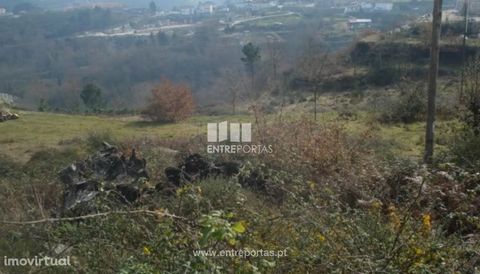 Land for sale, with an area of 2 720 m2, excellent sun exposure, good access and great location. Paredes de Viadores, Marco de Canaveses. Ref.:MC07797 FEATURES: Plot Area: 2 720 m2 Area: 2 720 m2 Net Area: 2 720 m2 Energy Efficiency: Exempt DOOR BETW...