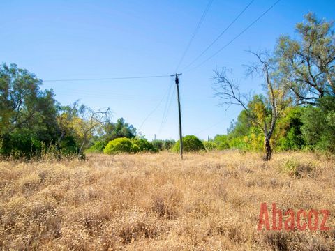 This rustic plot of 4460m2 is located in Poço Geraldo just a short distance from the city of Loulé. The land was registered a few years ago with an area of 4460m2 but after a recent topographic survey it was found that the plot consists of many more ...