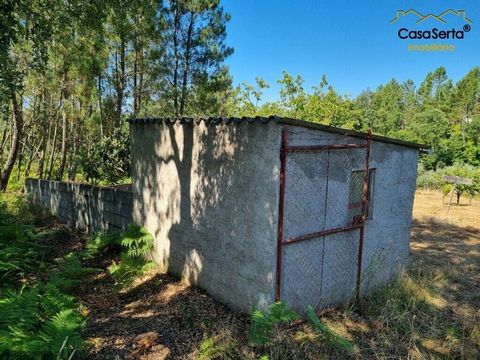 Volledig ommuurd land met een oppervlakte van 1.923,62 m2, gelegen in de parochie van Sertã. Het land bestaat uit olijfbomen en een klein bijgebouw voor landbouwondersteuning. Goede deal!