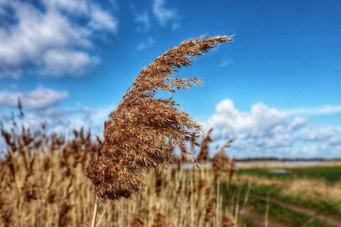 Beleef een onvergetelijke vakantie aan de Oostzee - het vakantieappartement “Salzhaff Moin” in Boiensdorf heet u welkom!