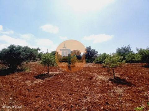 We present an excellent rustic land with an area of 4,480m², located in Alecrineira, Quelfes. Access is via a dirt road. This land, with several fruit areas, is perfect for those who want to invest in an agricultural project. With a magnificent view ...