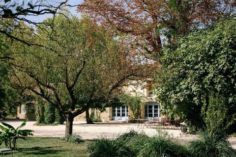 photo no. 17