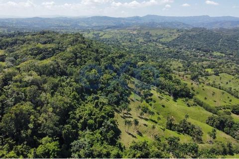 Réserve de La Cantera La Cantera, Gaspar Hernández, Espaillat, République dominicaine Géolocalisation de la propriété : https://maps.app.goo.gl/C4t6VBhzwup21NJf8 La Cantera Reserve, une propriété s’étendant sur 181 606,37 mètres carrés (44,88 acres),...