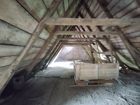 photo no. 18