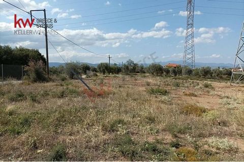 Exclusief te koop vanuit ons kantoor een perceel van 1200m² in Eretria, Magoula gebied. Dit perceel is bebouwbaar, bouwt 50 + 50m², op twee niveaus. Op een bevoorrechte locatie, op slechts 400 meter van de zee in een gebied met veel vrijstaande huize...