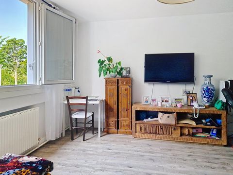photo no. 2