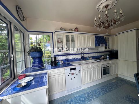photo no. 12