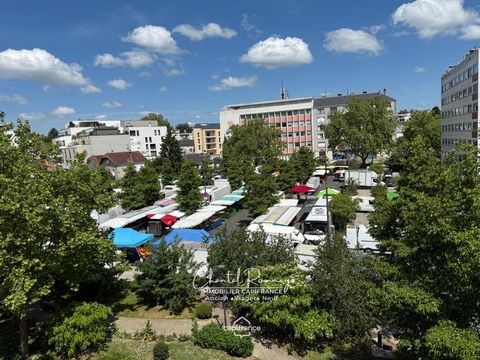 Appartement viager libre à vendre 5 pièces (37)