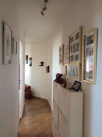 photo no. 11