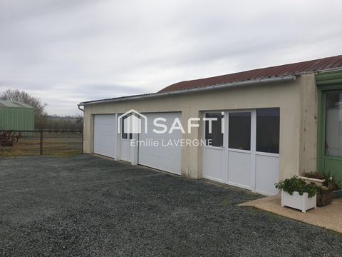 photo no. 11