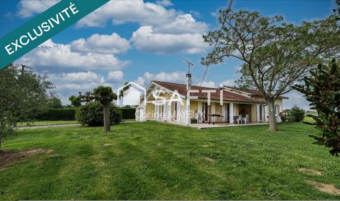 Charmante maison à FRONTON sur 2500m2 de terrain