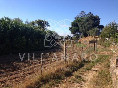 Land with 3.934m2 highlighted by nature due to a road, near schools, in the area of Povoa da Galega, with the possibility of building agricultural support with approximately 100m2 of implementation in the ground, pleasant place with all infrastructur...