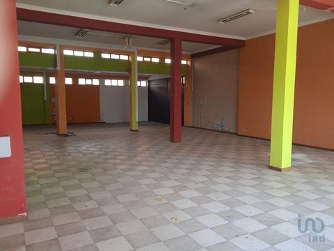 Conjunto de duas lojas, muito bem situadas, em Nelas, Distrito de Viseu. As lojas são contiguas como é possível ver nas fotos. Tendo a fração A 172 m2 e a fração B 172,5 m2, num total de 344.5 m2. Possuem um pé direito alto e boa iluminação natural. ...