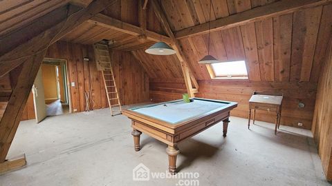 photo no. 16