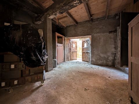 photo no. 14