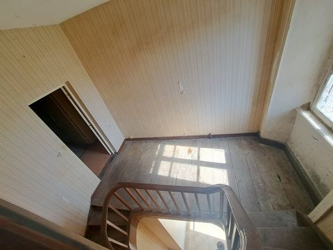 photo no. 12