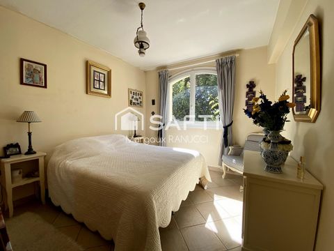 photo no. 7