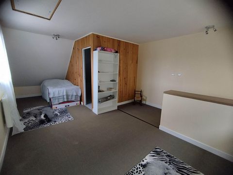 photo no. 11