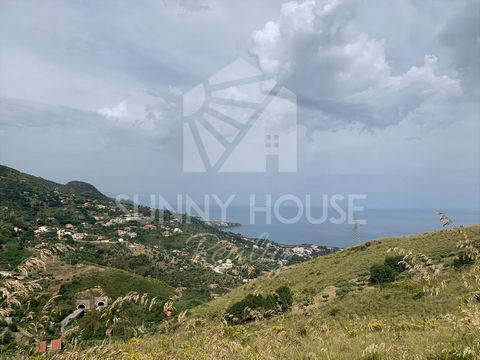 Op slechts 1 km van de stad Cefalù, in Contrada Gazzana, bieden wij een charmant stuk grond van 5.254 vierkante meter te koop aan, gelegen op een heuvelachtige en panoramische positie met een adembenemend uitzicht op de kristalheldere zee van Cefalù....