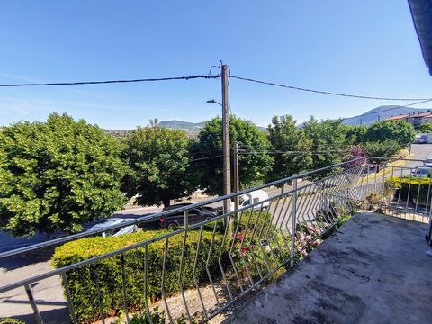 photo no. 1
