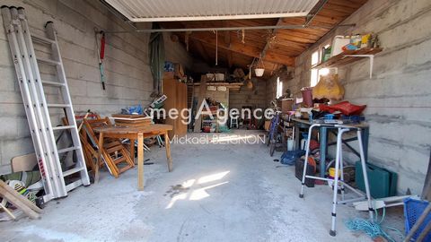 photo no. 10