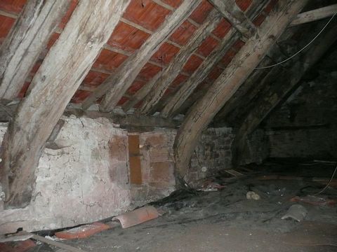 photo no. 18