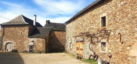 photo no. 31