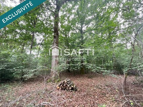 Terrain constructible à vendre à Vouzeron