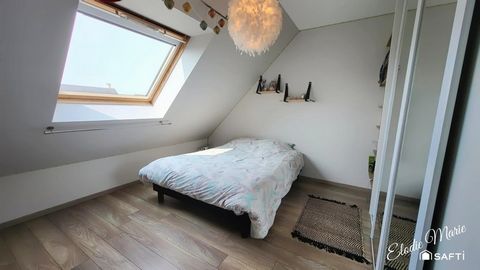 photo no. 15